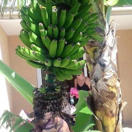 Bright Horizons Studio: Seaside Serenity In