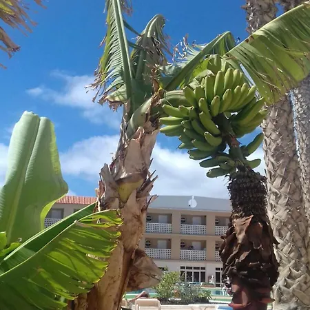 Cozy In 45 M² With Sea View Lejlighed Costa del Silencio