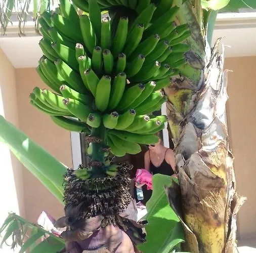 Cozy In 45 M² With Sea View