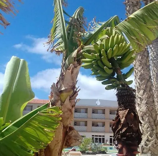 Cozy In 45 M² With Sea View Apartman